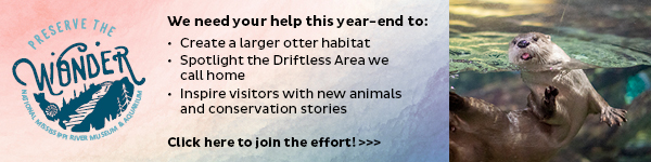 https://give.rivermuseum.org/otters