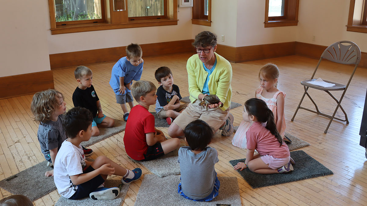 Early Explorer's looking at a turtle