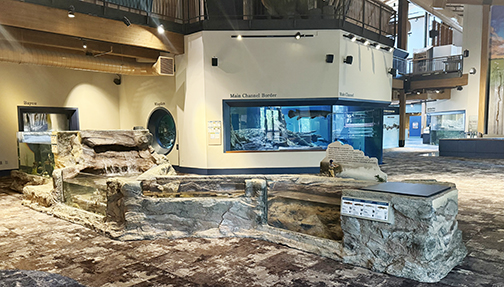 new trout stream exhibit