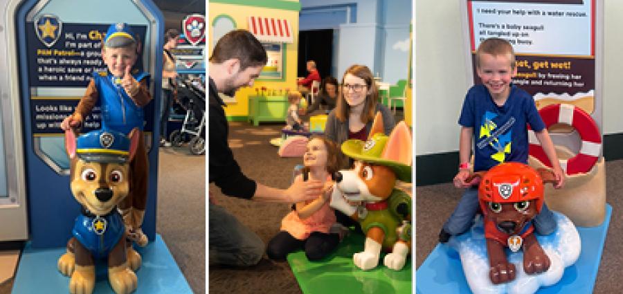 paw patrol