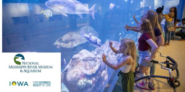 Free Professional Development Workshop for K-12 Teachers