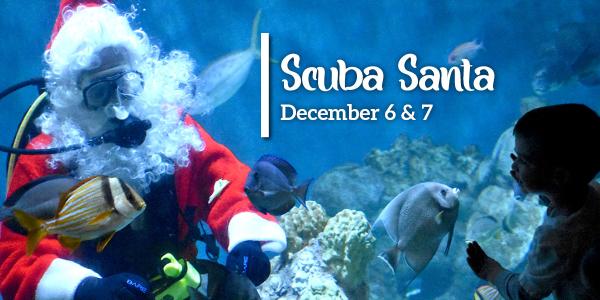 Scuba Santa