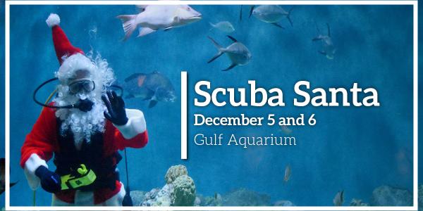 scuba santa