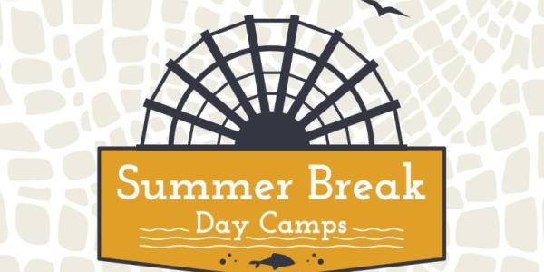 Summer break camp