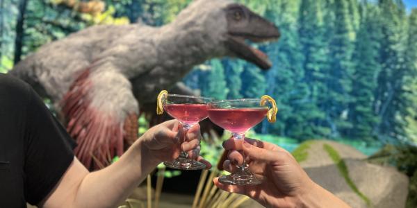 Drinks & Dino