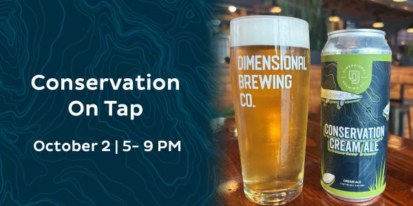 Dimensional Brewing Company's Conservation Cream Ale on a blue background