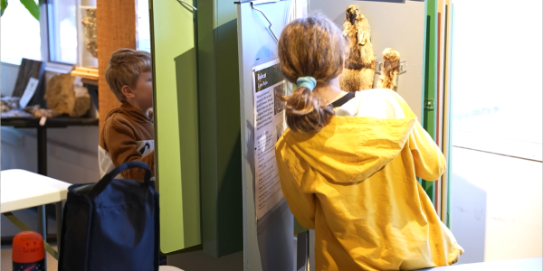 River Museum InSight