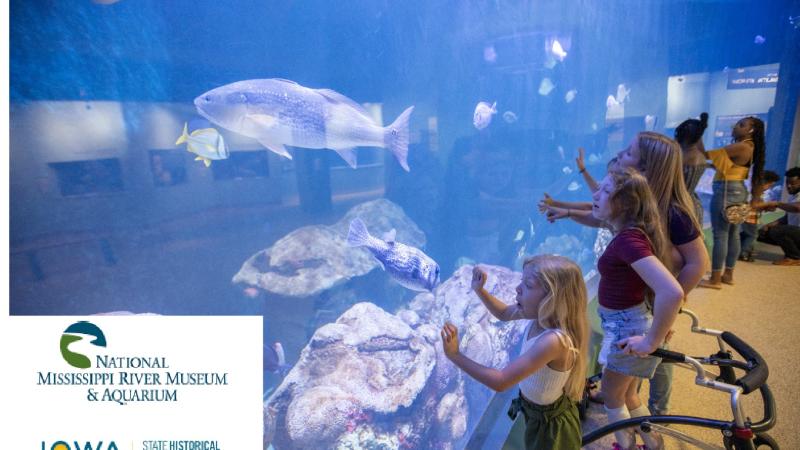 Free Professional Development Workshop for K-12 Teachers