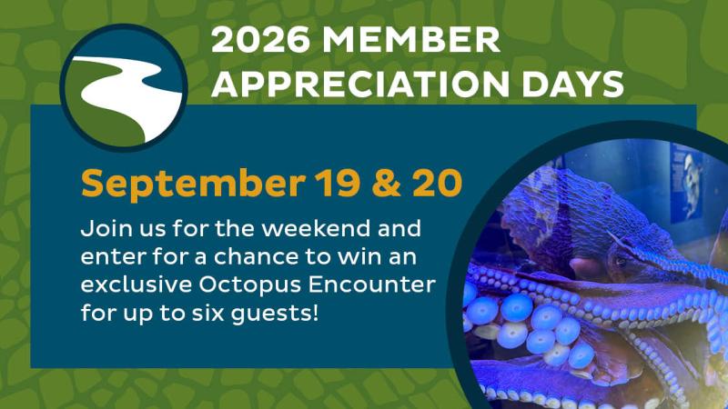 Member Appreciation Days Image