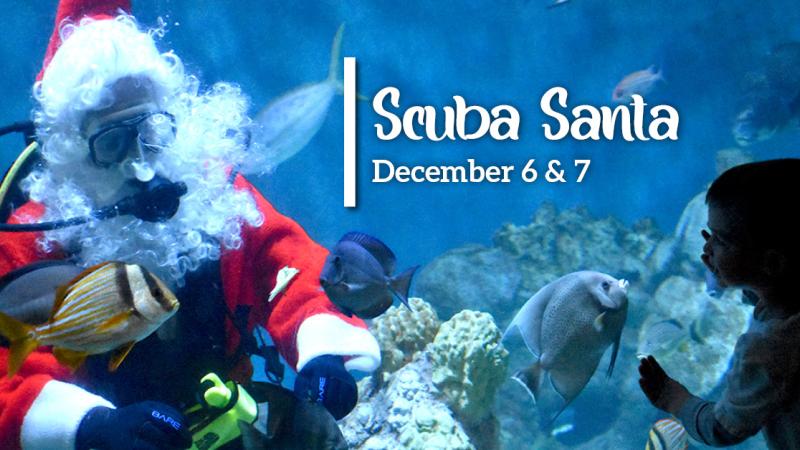 Scuba Santa