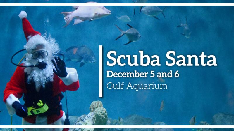 scuba santa