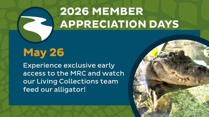 Member Appreciation Days image