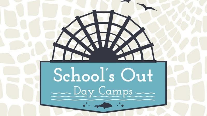 school's out day camps