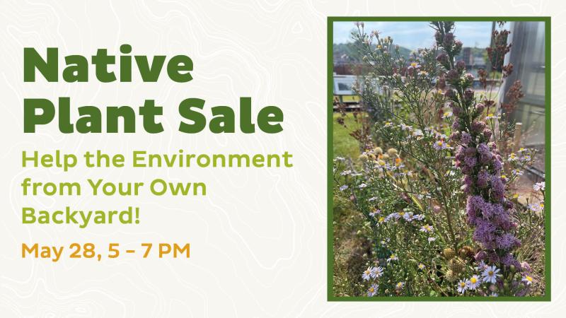 Native Plant Sale Image
