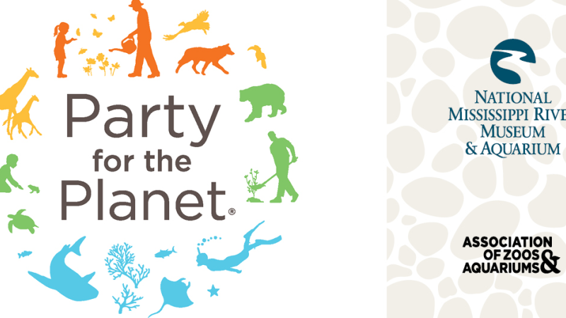 Party for the Planet logo 