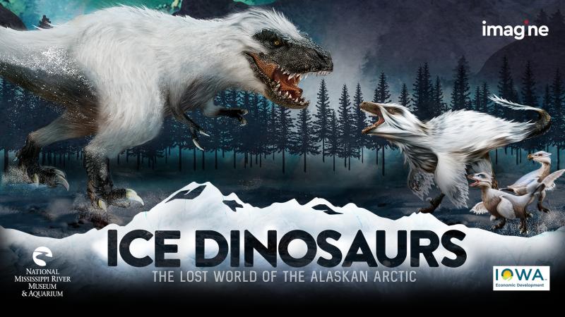 Dino 
