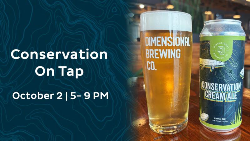Dimensional Brewing Company's Conservation Cream Ale on a blue background