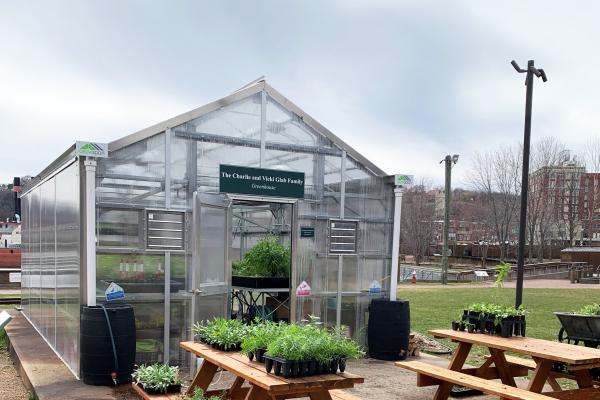 Greenhouse
