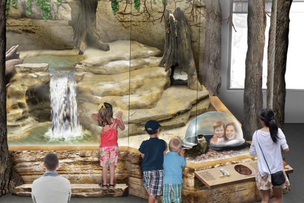 otter renovation