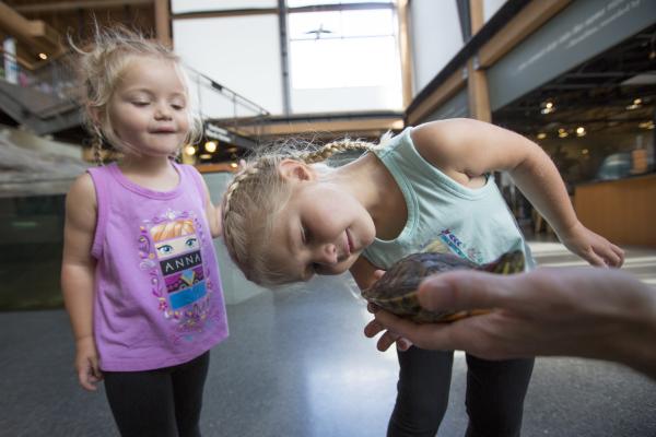 girls looking at turtle for Creature Feature