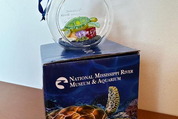 turtle terrarium ornament