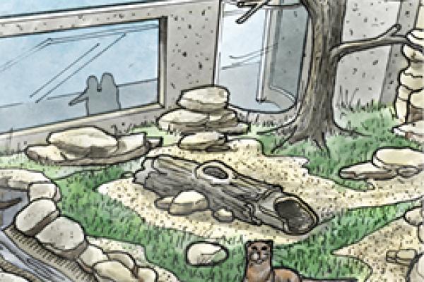 otter renovation