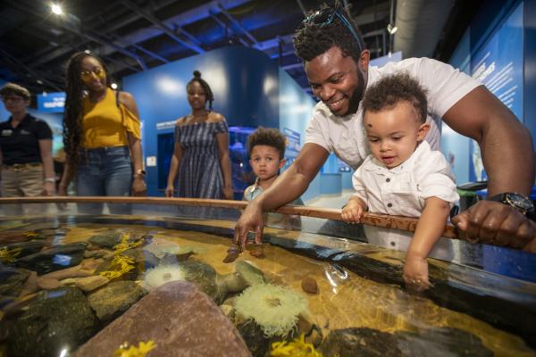 guest at our tidepool touch tank