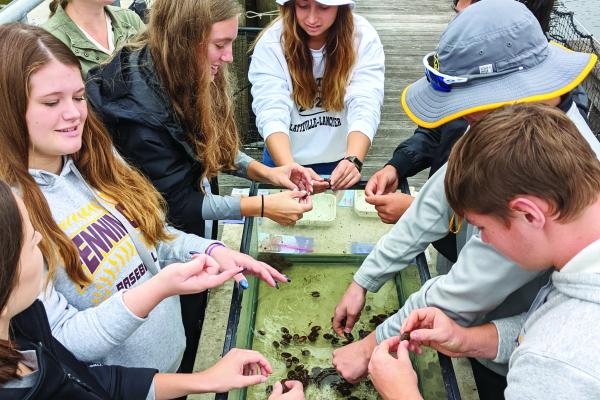 mussel and teens