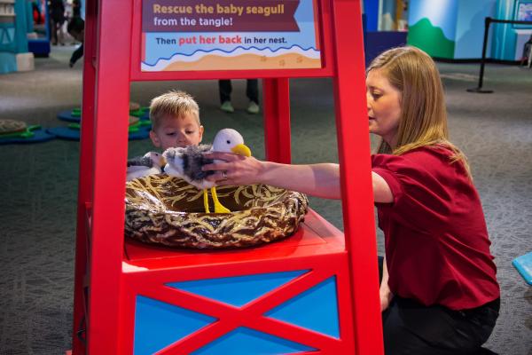 Baby seagull rescue interactive display