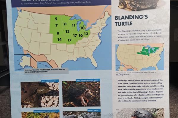 midwest turtle panel