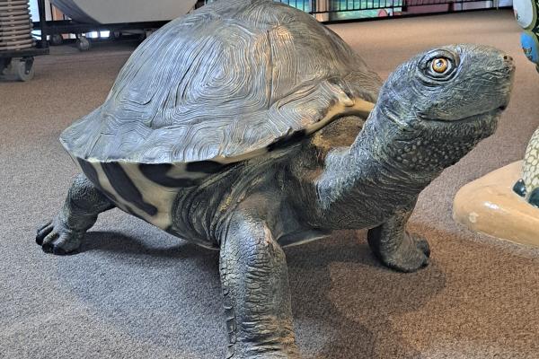 turtle scuplture