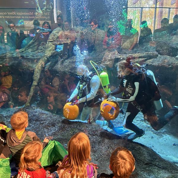underwater pumpkin carving with two scuba divers