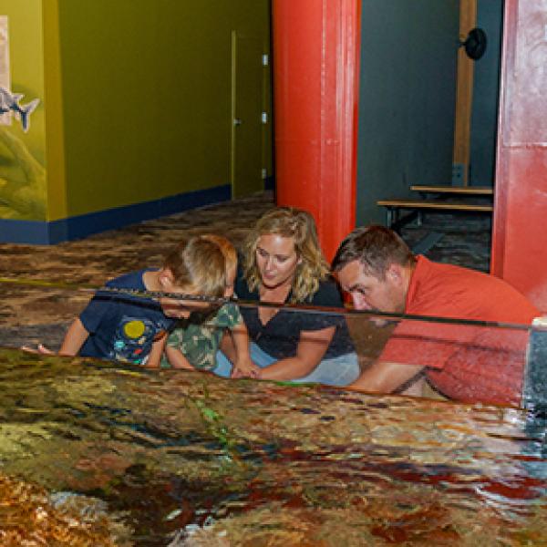trout stream exhibit