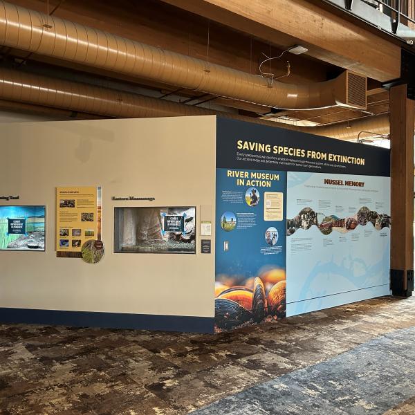 saving species exhibit