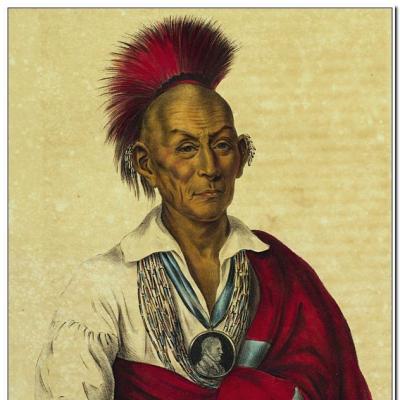 Black Hawk