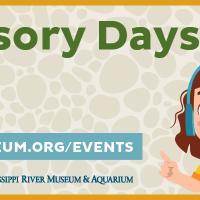 Sensory days summer 2024