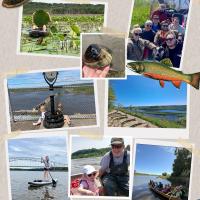 Photo Collage
