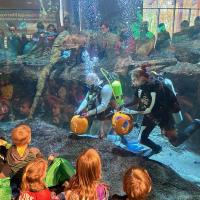 underwater pumpkin carving with two scuba divers